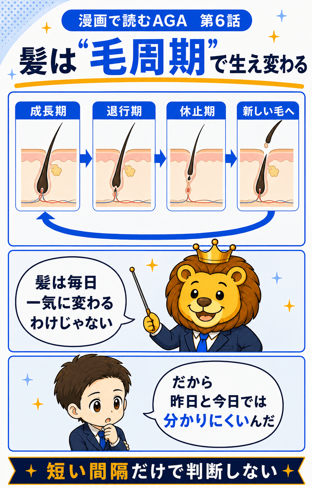成長期、退行期、休止期を繰り返す髪の毛周期