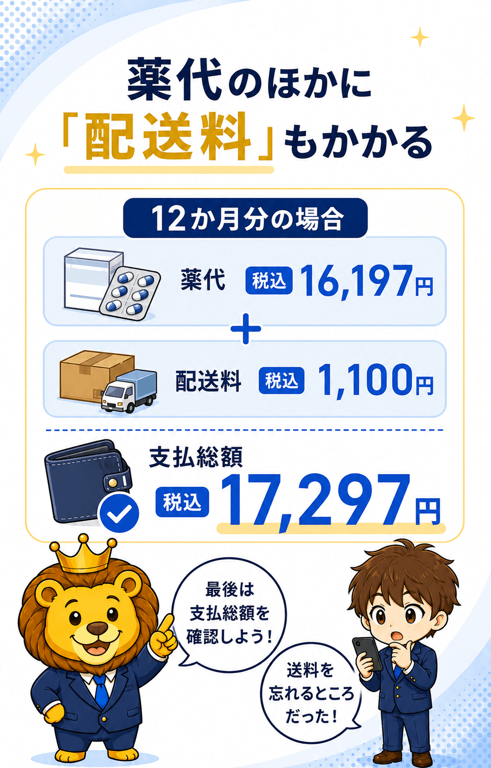薬代16,197円と配送料1,100円から支払総額17,297円を計算